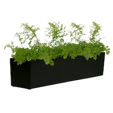 Primrose Fibreglass Herb Garden Window Box Planter Matt Black 20 x 76cm