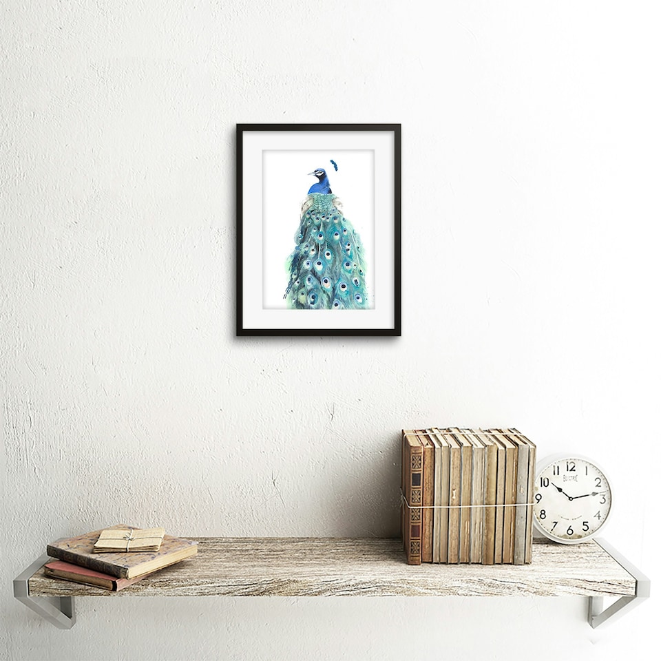 image 1 of Elegant Peacock Bird Tail Feathers Watercolour 9x7" Black Framed Wall Art Print
