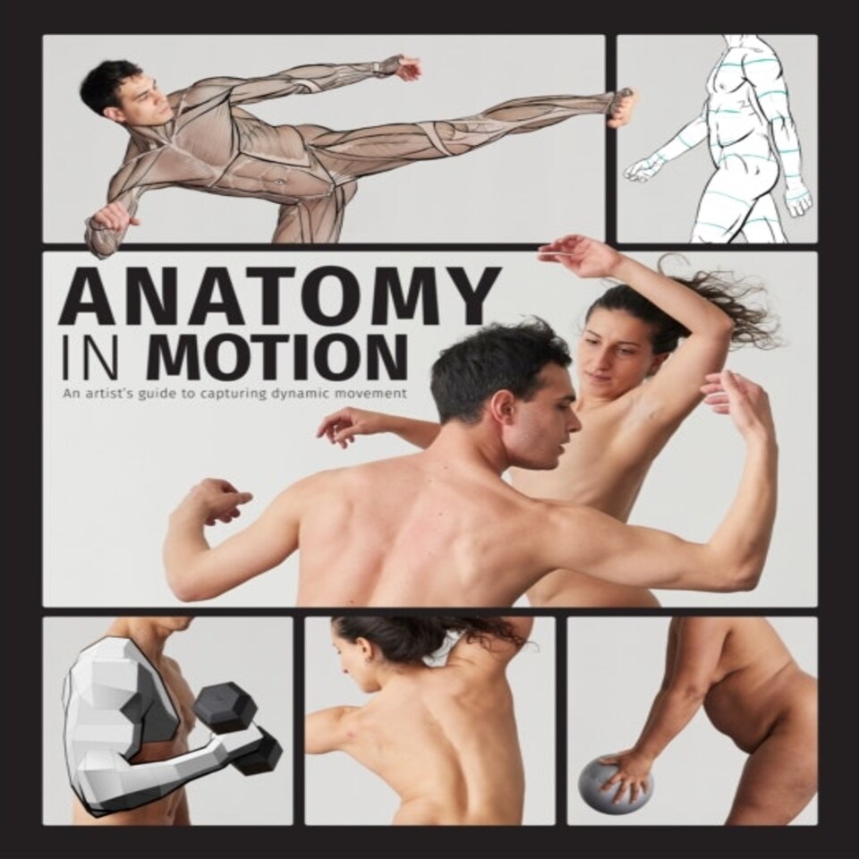 Anatomy In Motion