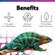 image 5 of Exo Terra Reptile UVB LED Spot 3W