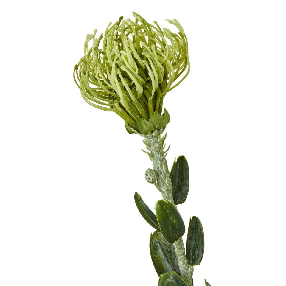 image 1 of Hill Interiors Pincushion Protea Spray Artificial Flower - Green - One Size