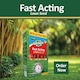 image 10 of Westland GRO-Sure Fast Acting Lawn Seed 10 Meter Square + 30 Percent Extra Quick Germination Grass Seed for Lawn Repair & Growth