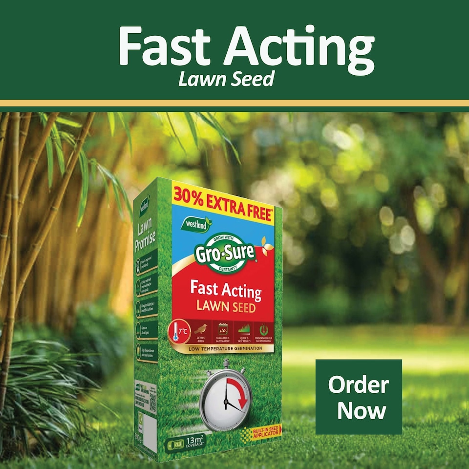 image 1 of Westland GRO-Sure Fast Acting Lawn Seed 10 Meter Square + 30 Percent Extra Quick Germination Grass Seed for Lawn Repair & Growth