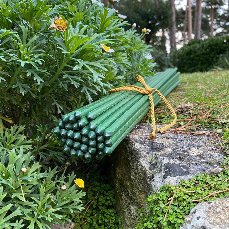image 1 of Plastic Coated Metal Garden Plant Support Sticks (60cm) - Pack of 40