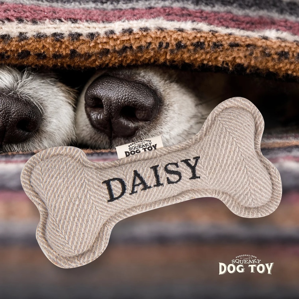 image 1 of History & Heraldry Pre-Personalised Squeaky Bone Dog Toy - Daisy