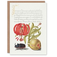 Model Book of Calligraphy Art Card Turks Cap Lily Fig and Beetle