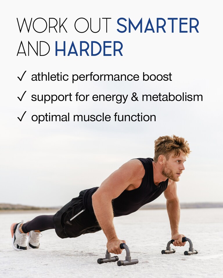 l-carnitina engorda Sirve el Tomar Proteina? Importancia, Beneficios y Mitos
