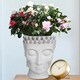 image 1 of White Oval Face Planter Head Buddha Plant Pot Indoor Pot Cover L26.5 W25 H34 cm, 8.4 ltrs Cap.