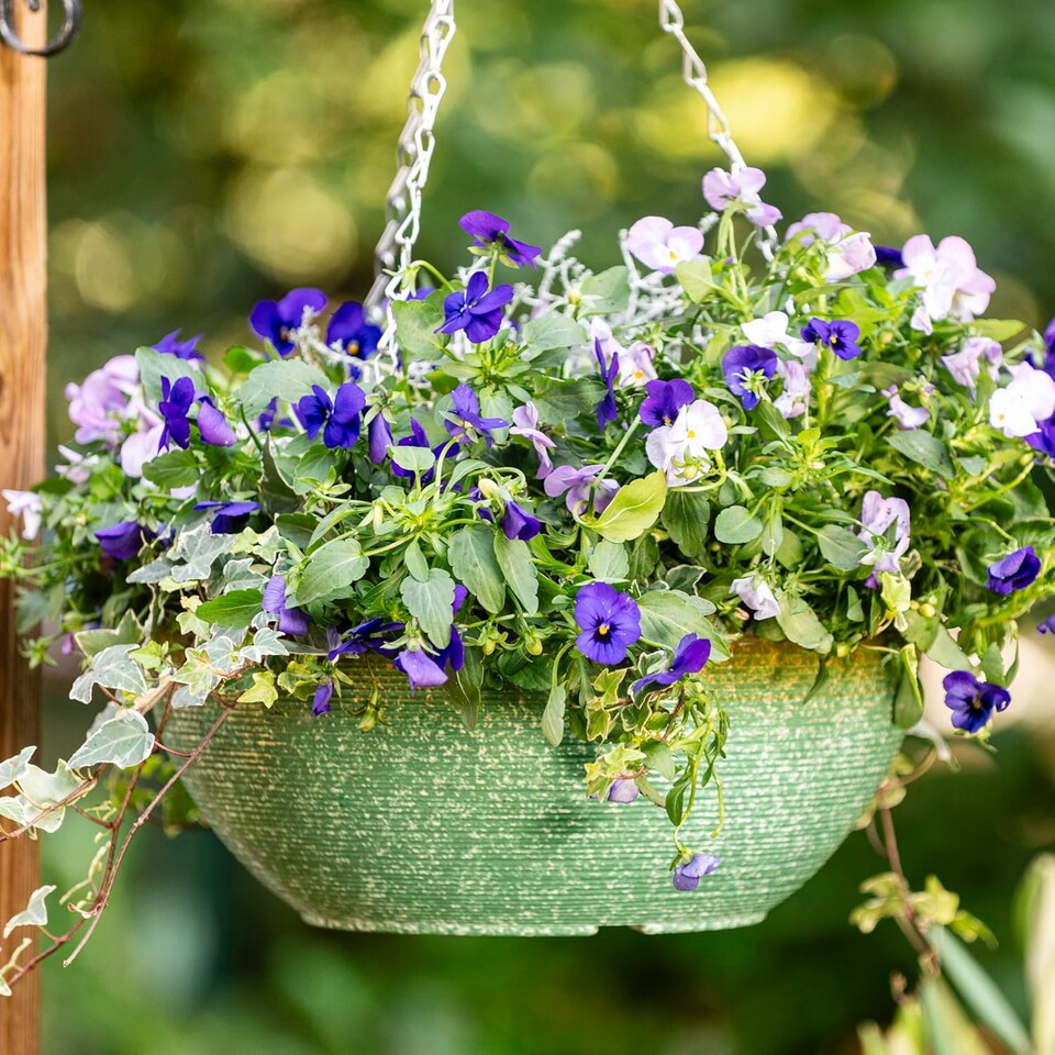 image 1 of Glazed Effect 35cm Hanging Basket Sage Green x 2 | Green | 2