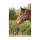 image 2 of Hy Rosciano Leather Horse Headcollar - Black/Rose Gold - Full
