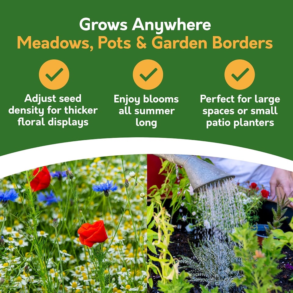 image 1 of Pronto Seed Wildflower Cottage Garden Seed Shaker - 25m2 Garden Flower Seeds | Multi | Cottage Garden 25m2 | 1