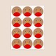 image 3 of Christmas Robin Round Stickers 60mm - Sheet of 12