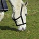 image 3 of Rhinegold Field Safe Headcollar Orange | Colour: Tangerine Orange
Size: Shetland Pony