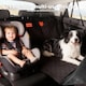 image 8 of Skylos Waterproof Fabric Dog Car Seat Cover Back Seat Hammock Safety Protector