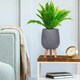 image 9 of Honeycomb Style Dark Grey Planter with Legs, Round Indoor Plant Pot Stand for Indoor Plants by Idealist Lite D21 H34 cm, 6L