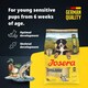 image 2 of Josera SensiJunior complete puppy food | For active pups | Sensitive digestion | Gluten-free | Medium & large breeds | Immune Plus | Lots of meat | 0.9kg