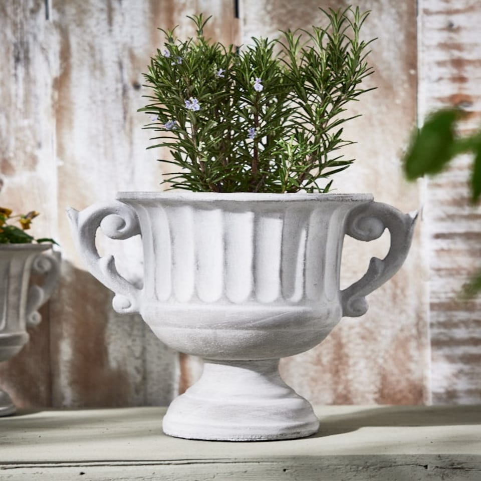 image 1 of Arcadia Large Plant Pot N/A