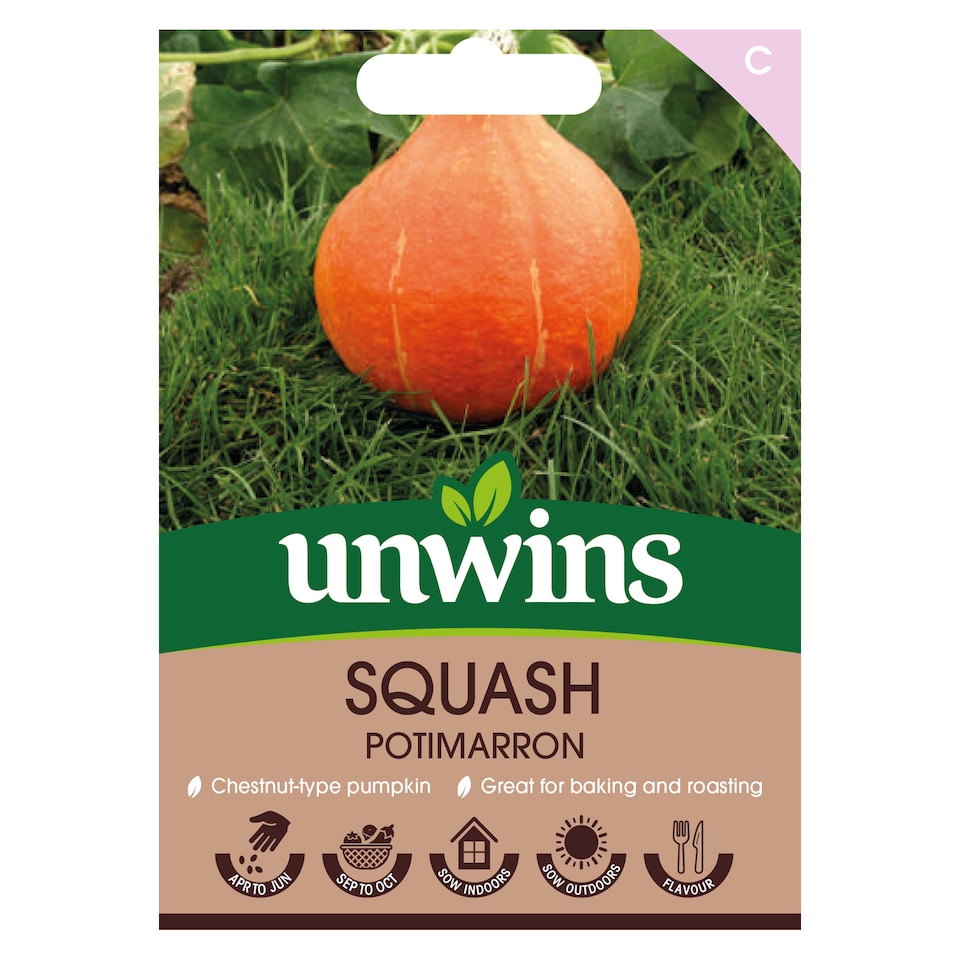 image 1 of Squash (Winter) Potimarron