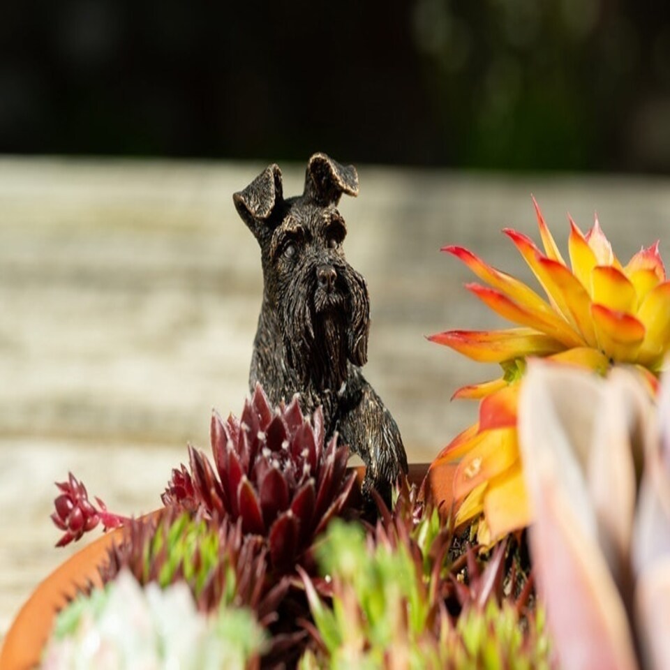 image 1 of Antique Bronze Coloured Schnauzer Pot Buddy Plant Pot Hanger