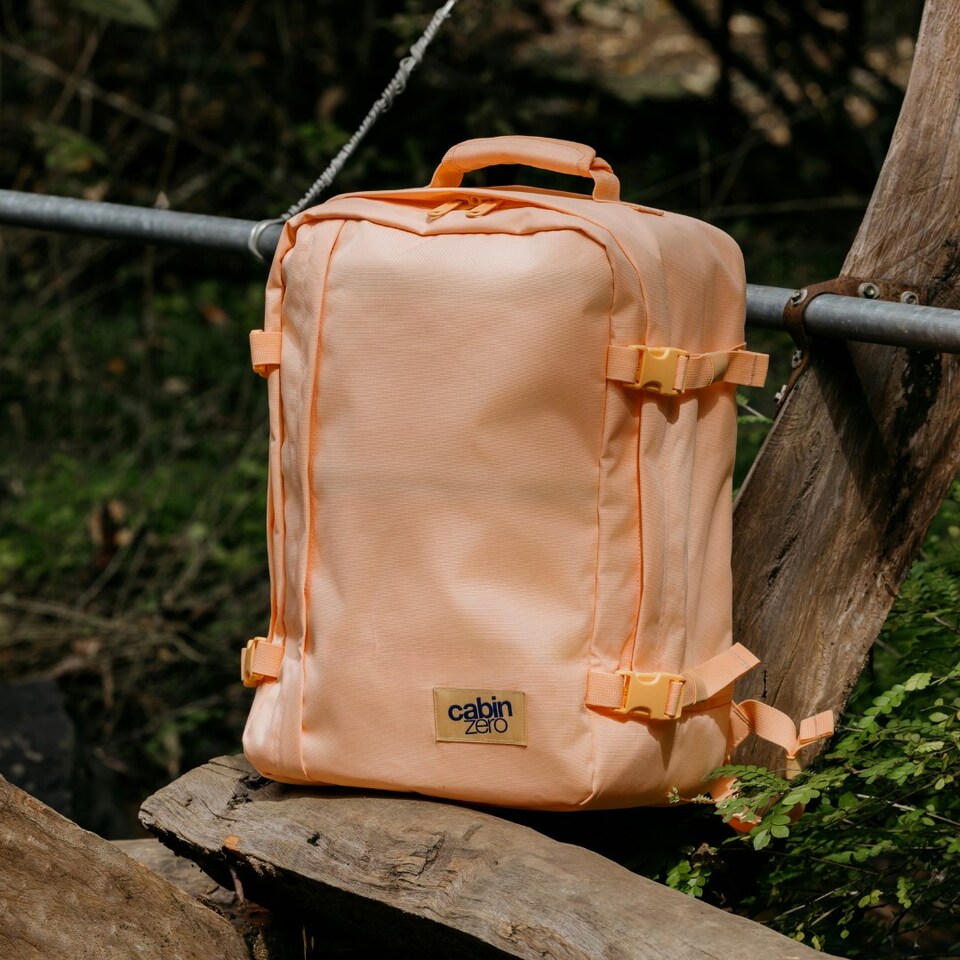 image 1 of Classic Cabin Backpack 44L Sunny Day Pink