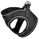 image 9 of Bunty Voyage Harness Multi | S