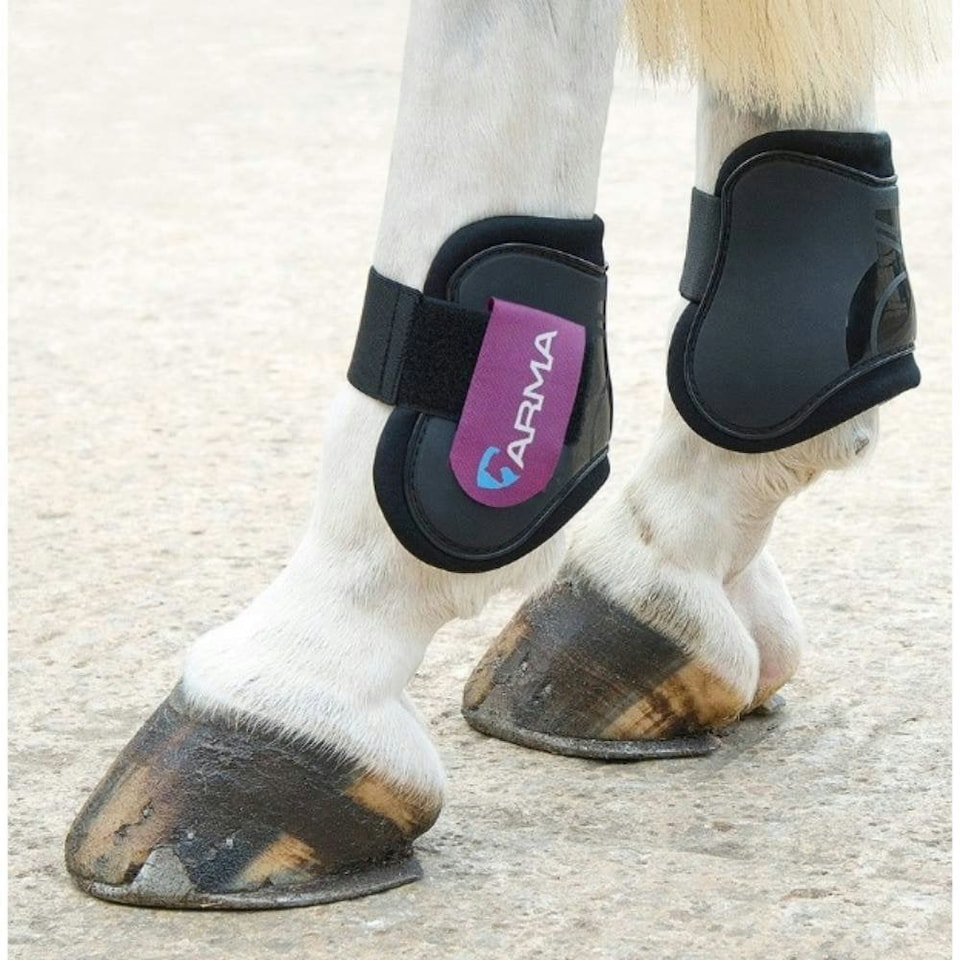 image 1 of ARMA Horse Fetlock Boots - Black/Plum - Cob/Full
