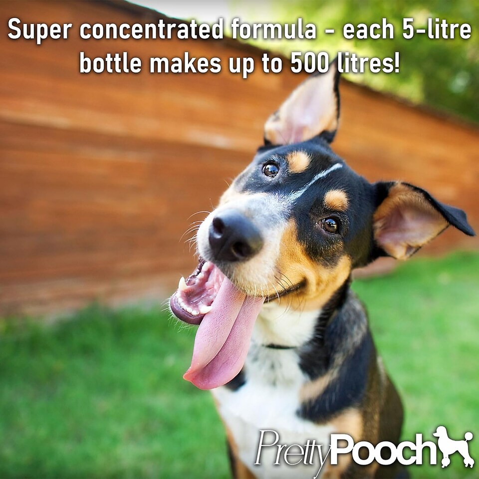 image 1 of Pretty Pooch Multipurpose Disinfectant - Cleaner, Sanitiser, Deodoriser - Concentrated Formula - Bubblegum 5L x2