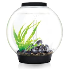 Small Animal, Fish & Bird