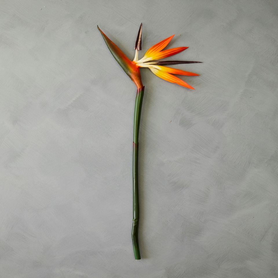 image 1 of Interiors by Premier Bird of Paradise – 92cm, Exotic Faux Flower With Bold Orange And Purple Petals, Adds A Tropical Touch