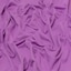 Bright Violet