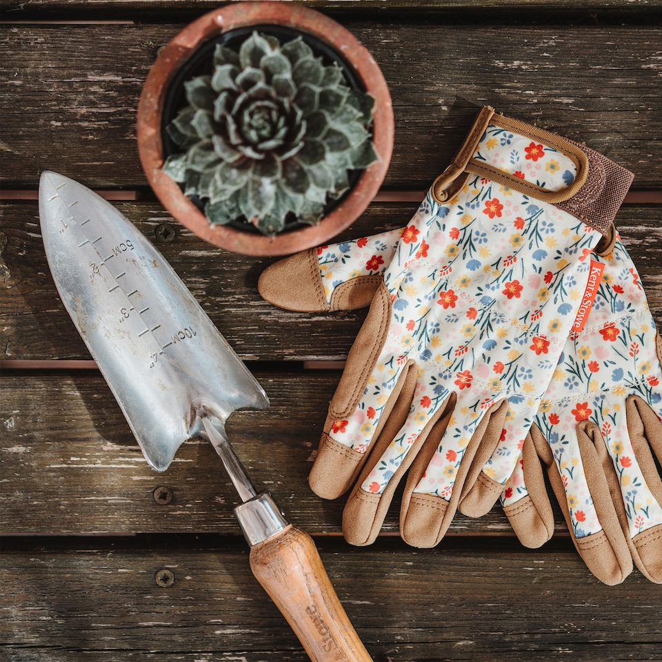 image 1 of Kent & Stowe Stainless Steel Hand Transplanting Trowel | Multi | 1 x Transplanting Trowel