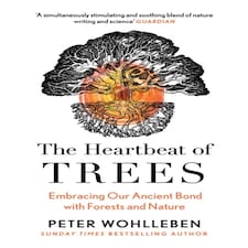 The Heartbeat Of Trees