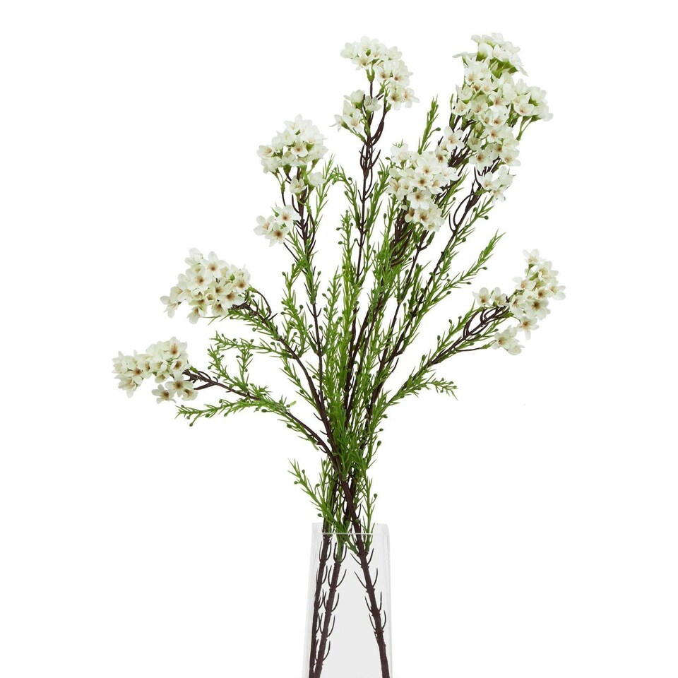 image 1 of Hill Interiors The Natural Garden Collection Waxflower Artificial Flower - White/Green - One Size