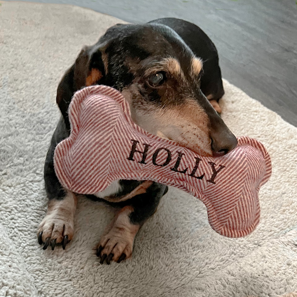 image 1 of History & Heraldry Pre-Personalised Squeaky Bone Dog Toy - Mia