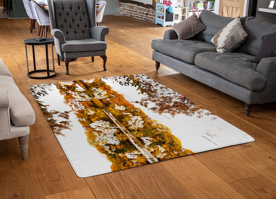 image 1 of Autumn Lake Designer Rug | Multi