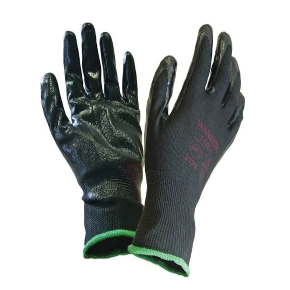 Seamless Inspection Gloves - M (Size 8) (Pack 12) - SCAGLOINS12M N/A