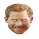 image 3 of 10 Pieces of Prince Harry Face Masks Blue
