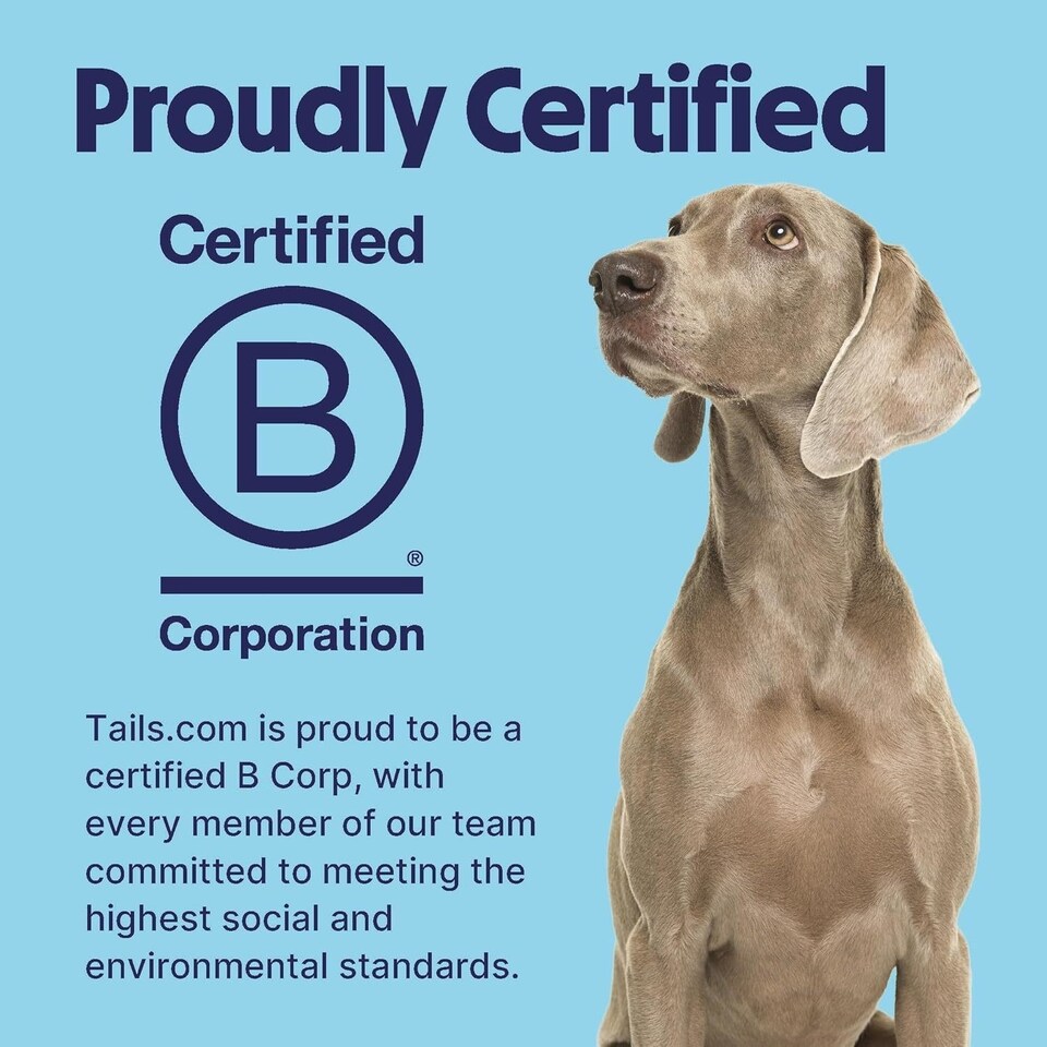 image 1 of Tails.com Inner Vitality Wet Dog Food Alu Tray Sensitive Adult Chicken & Cod 11 x 150g