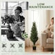 image 4 of HOMCOM Set of 2 Decorative Artificial Plants Cypress in Weighted Pot, 90cm