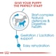 image 6 of ROYAL CANIN® Mini Starter Mother & Babydog Adult and Puppy Dry Food N/A | Size: 1kg