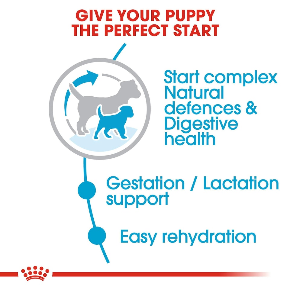 image 1 of ROYAL CANIN® Mini Starter Mother & Babydog Adult and Puppy Dry Food N/A | Size: 1kg