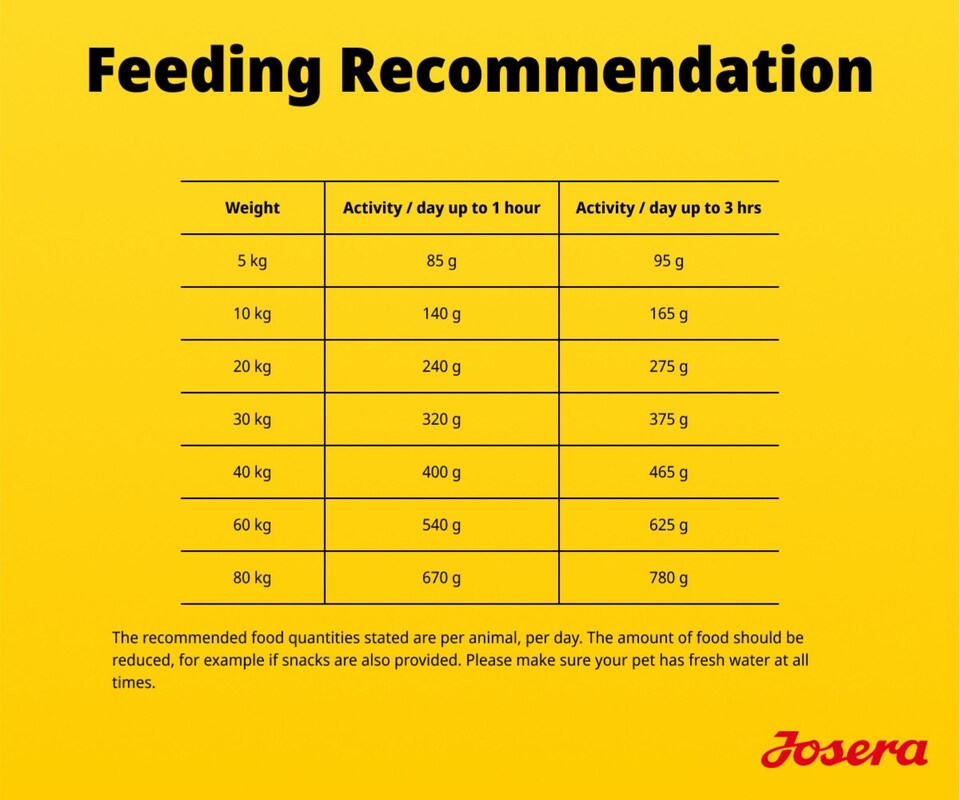 image 1 of Josera Adult Salmon & Potato grain-free complete food | Adult & Senior dogs | Single animal protein | Gluten free | Herbs & fruit | Skin & Coat | 3kg