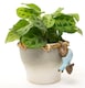 image 4 of Beatrix Potter Johnny Town-Mouse Plant Pot Hanger | Multi