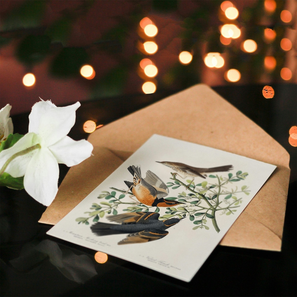 image 1 of John James Audubon Art Card Mountain Mocking Bird and Thrush