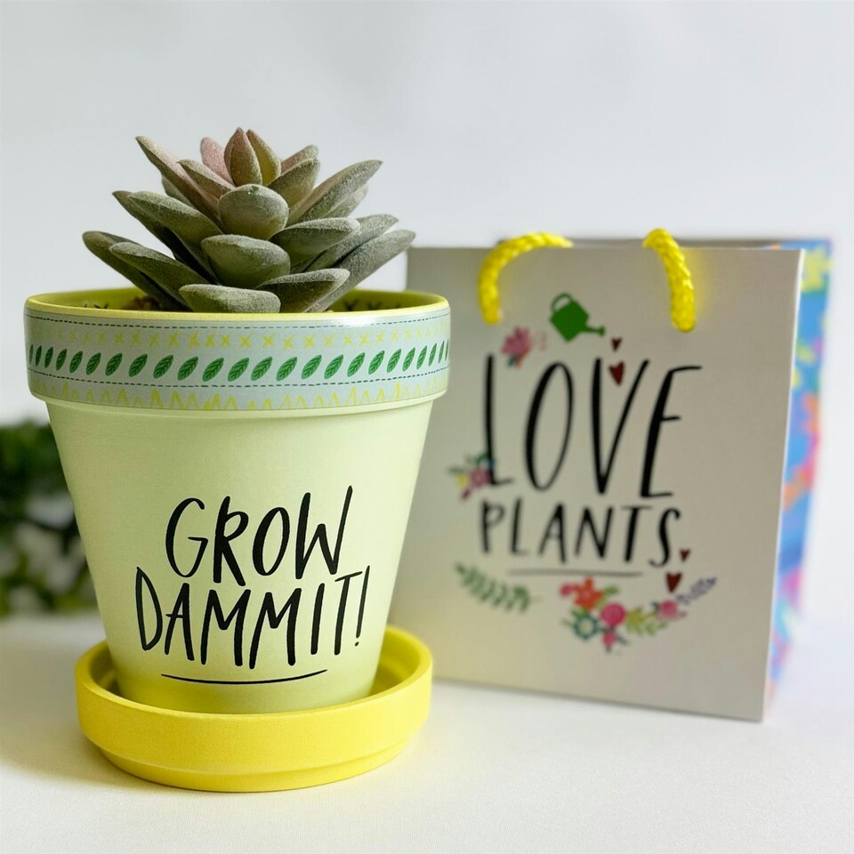 Love Plants Pot Ceramic Growing Garden Grow Dammit N/A