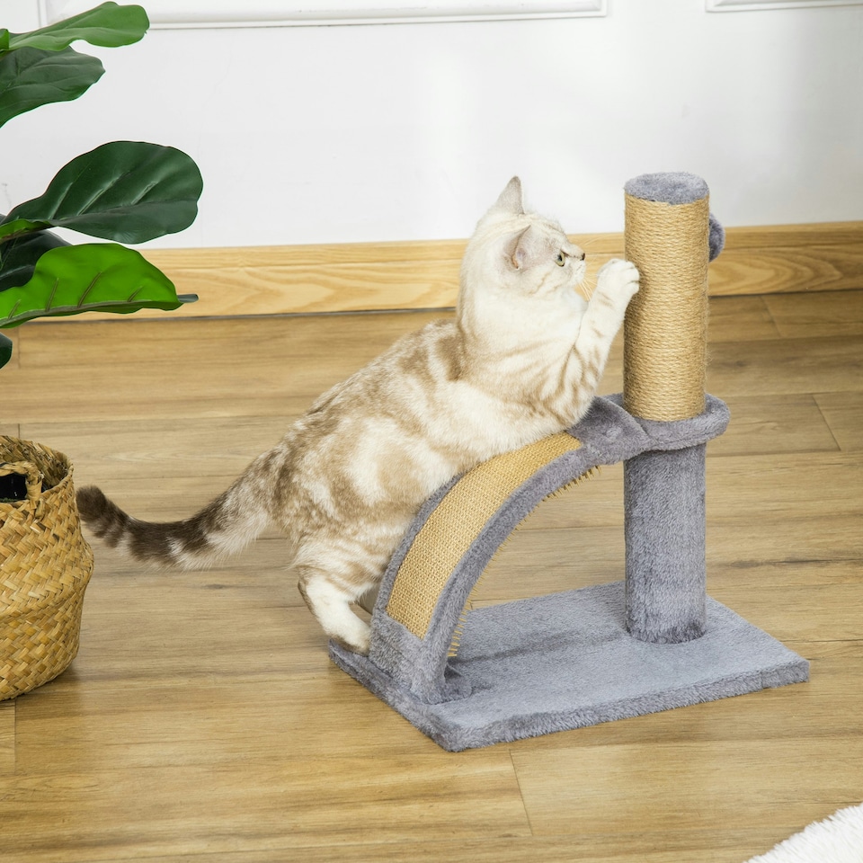 image 1 of PawHut Cat Tree for Indoor Cats with Scratching Post, Hanging Ball, Grey