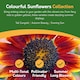 image 6 of Pronto Seed Sunflower Bumper Pack - 6 Varieties, Colourful and Yellow Sunflowers for Pots and Borders