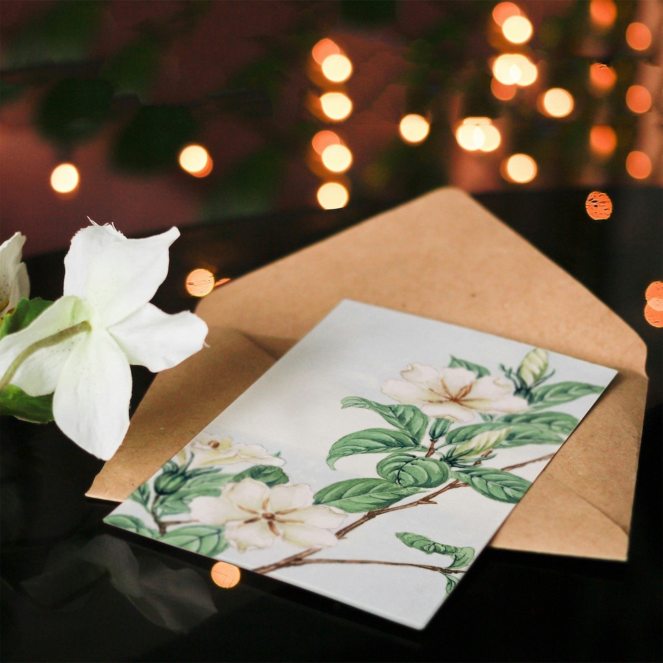 image 1 of Megata Morikaga Art Card Cape Jasmine Vintage Japanese