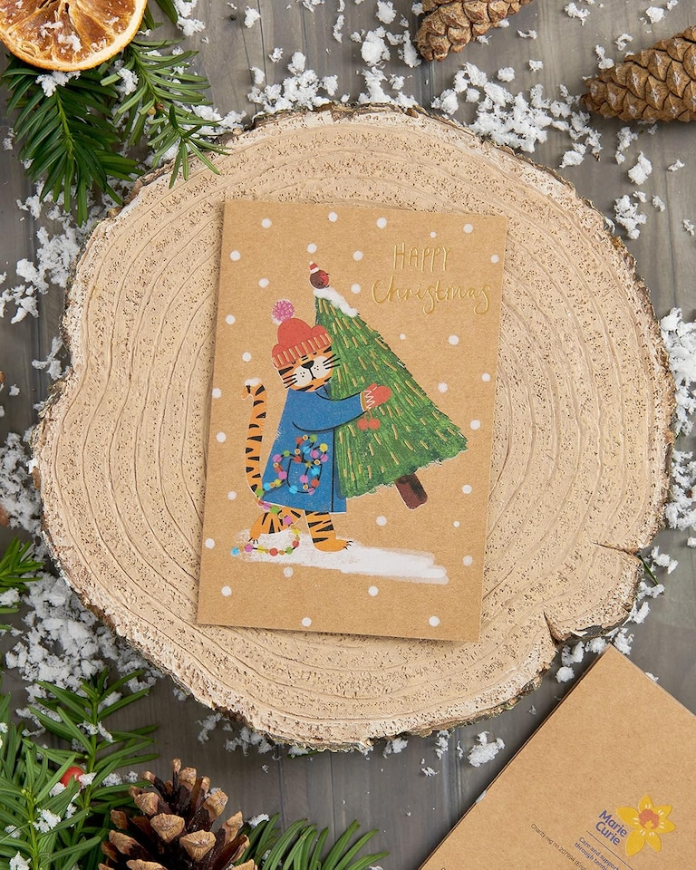 image 1 of Box of 8 Festive Tiger Marie Curie Charity Christmas Cards