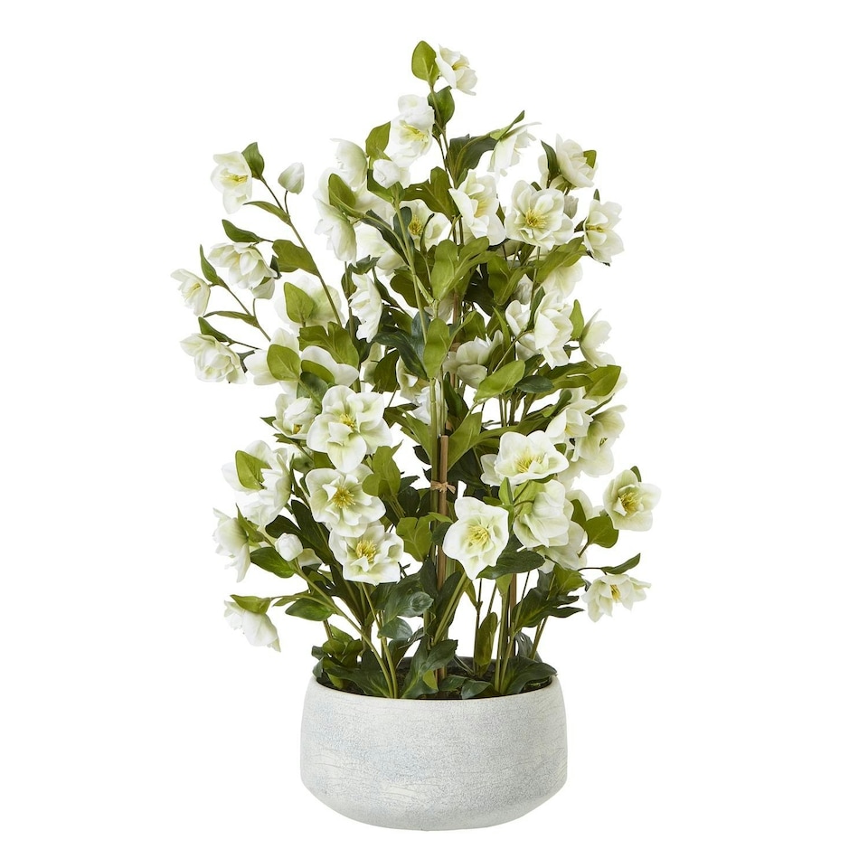 image 1 of Hill Interiors Hellebore Artificial Potted Plant - White/Grey - 41cm x 33cm x 38cm